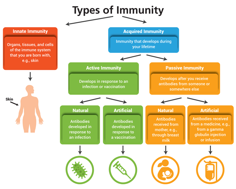 World Immunisation Week | Part 2 | Immunity – Vigyan Setu Foundation