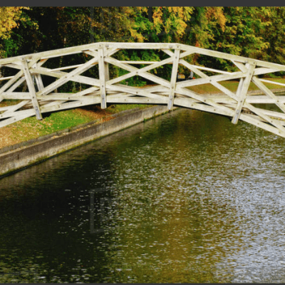 Science Days in July: Quiz of the&nbsp;Month